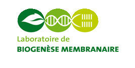 Membrane Biogenesis Laboratory